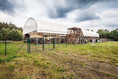 Padelové haly - investujte do zastrešenia kurtov pre celoročný tréning