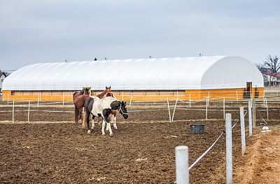 Reithalle Equiwell, Hrobice